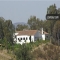 Herdade em Corte de Sines, Mértola