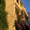  Dalmati�