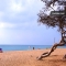 Appartementen La Caba�a II in Canyamel