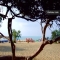 Appartementen La Caba�a IX in Canyamel