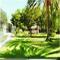 Camping La Rana Verde