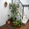Appartement Guzman