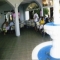  Dalmati�
