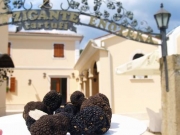 Foto Hotels | Hotel Restaurant Zigante