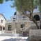  Dalmati�