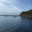 motorboot | Albufeira | Algarve