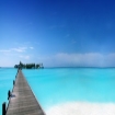 Caribe Paardrijden Caribisch gebied, paardrijden tijdens uw vakantie in de Cariben