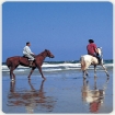 Foto maneges | Conil