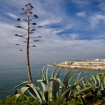 Foto | Ericeira