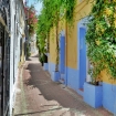 Foto plaza de los naranjos | Marbella
