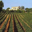 casa rural | Palma Mallorca | Mallorca