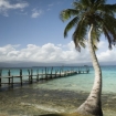 panama Panama