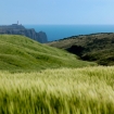 Foto | Sagres