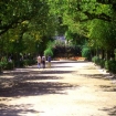Foto alameda | Santiago de Compostella | Landelijk Toerisme