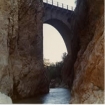Foto vogels | Sierra Nevada | Andalusië
