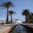 Foto spanje | Tarifa | Costa de la Luz