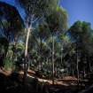 Foto wandeltochten | Vejer de la Frontera