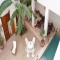 Riad W, modern en traditie mooi gecombineerd