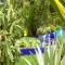 jarin de Majorelle