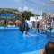 Ir a Marineland