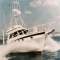 Visboot Marline