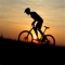 Alquiler bicicleta