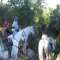 Manege los Algarves