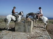 Foto Tarifa | Paardrijden