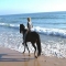 Montar caballo