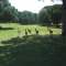 Golfbaan Dehesa Montenmedio