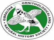 Tarifa ornitologie