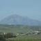 Estudio Manuel II