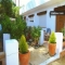 Estudio Angelina I